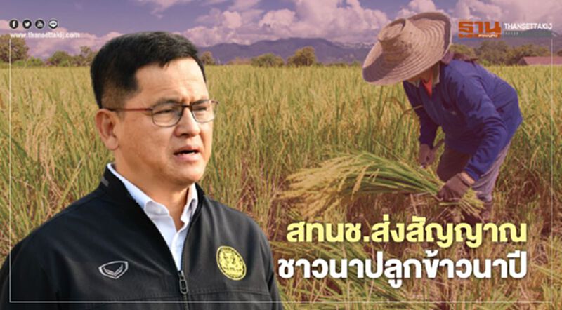 สทนช.ส่งสัญญาณชาวนาปลูกข้าวนาปี สทนช.ส่งสัญญาณชาวนาปลูกข้าวนาปี