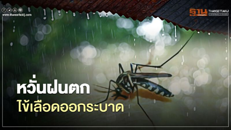 กรมควบคุมโรคหวั่นฝนตก ไข้เลือดออกระบาด กรมควบคุมโรคหวั่นฝนตก ไข้เลือดออกระบาด