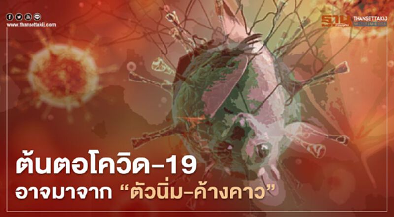 ผลวิจัยจีนพบต้นตอโควิด-19 อาจมาจากไวรัสใน"ตัวนิ่ม-ค้างคาว" ผลวิจัยจีนพบต้นตอโควิด-19 อาจมาจากไวรัสใน"ตัวนิ่ม-ค้างคาว"