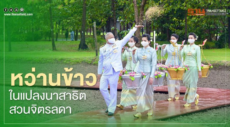 หว่านข้าวในแปลงนาสาธิตสวนจิตรลดา ในวันพืชมงคล