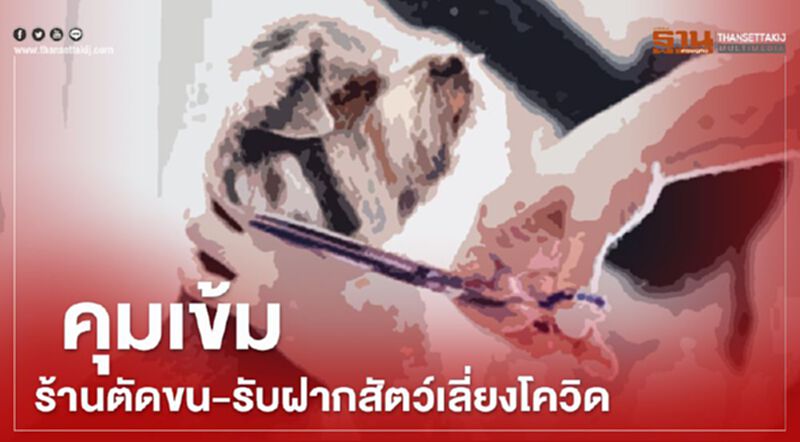คุมเข้มร้านตัดขน-รับฝากสัตว์ เลี่ยงโควิด คุมเข้มร้านตัดขน-รับฝากสัตว์ เลี่ยงโควิด
