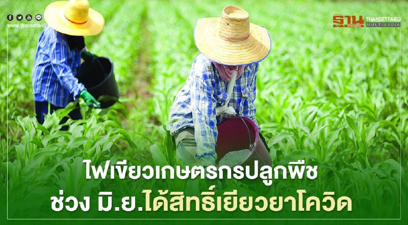เฮ ปลูกพืชช่วง มิ.ย.ได้สิทธิ์ "รับเงินเยียวยาเกษตรกร"