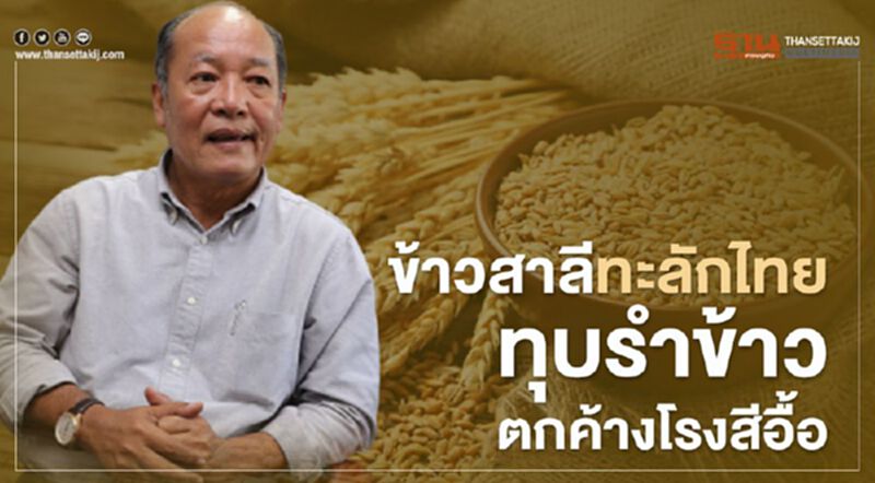 ข้าวสาลีทะลักไทยทุบรำข้าวตกค้างโรงสีอื้อ ข้าวสาลีทะลักไทยทุบรำข้าวตกค้างโรงสีอื้อ