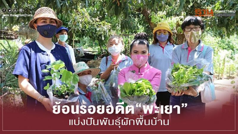 ย้อนรอยอดีต“พะเยา”แบ่งปันพันธุ์ผักพื้นบ้าน ย้อนรอยอดีต“พะเยา”แบ่งปันพันธุ์ผักพื้นบ้าน