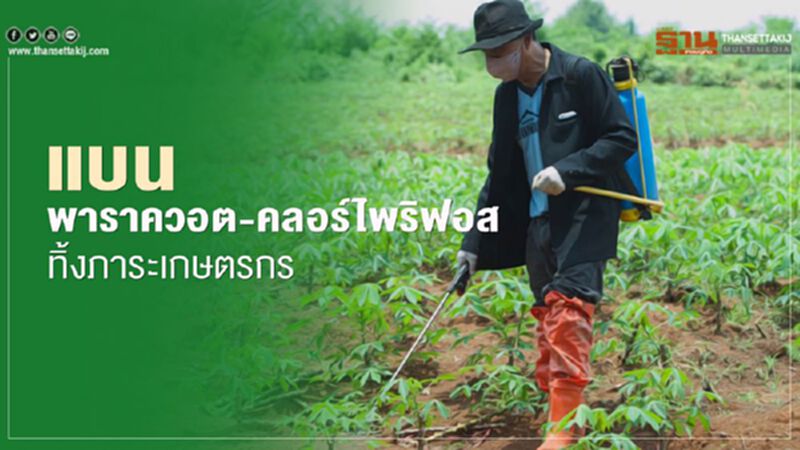 ส.เกษตรปลอดภัยชี้แบนพาราควอต-คลอร์ไพริฟอสทิ้งภาระให้เกษตรกร ส.เกษตรปลอดภัยชี้แบนพาราควอต-คลอร์ไพริฟอสทิ้งภาระให้เกษตรกร