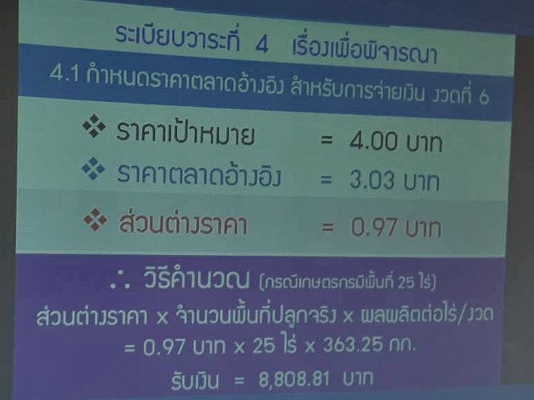 เคาะรอบ6 รัฐชดเชยส่วนต่างปาล์ม 0.97 บาท/กก.