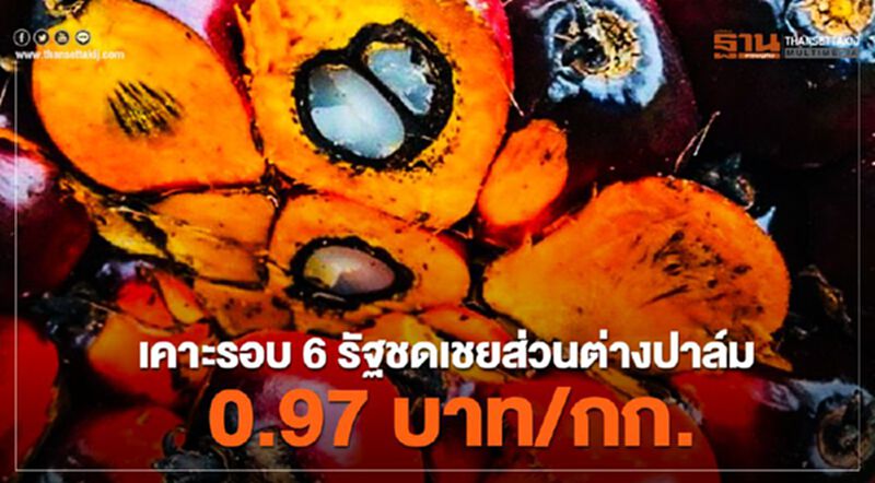 เคาะรอบ6 รัฐชดเชยส่วนต่างปาล์ม 0.97 บาท/กก. เคาะรอบ6 รัฐชดเชยส่วนต่างปาล์ม 0.97 บาท/กก.