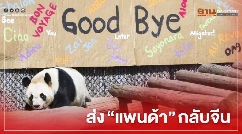บ๊ายบาย “เอ้อร์ซุ่น-ต้าเหมา” แคนาดา ส่งกลับจีน หลังโควิด ทำขาดแคลนไผ่
