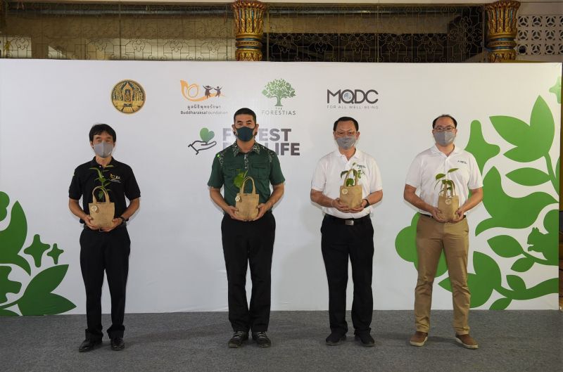 MQDC ทุ่ม 25 ล้าน เปิด Forest for Life