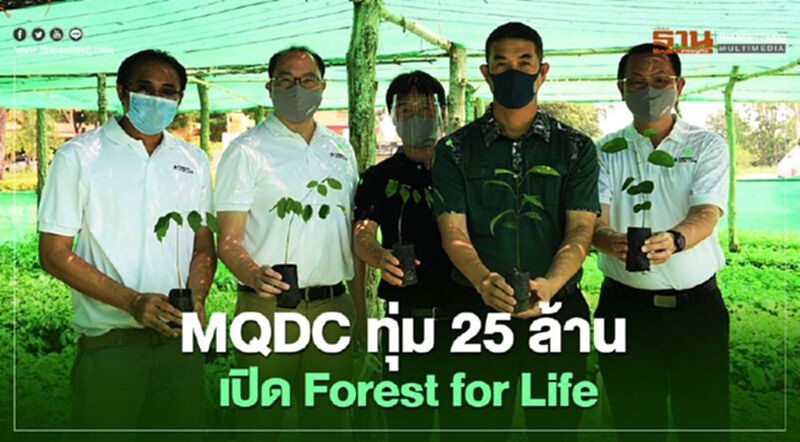 MQDC ทุ่ม 25 ล้าน เปิด Forest for Life MQDC ทุ่ม 25 ล้าน เปิด Forest for Life