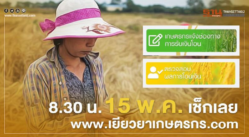 www.เยียวยาเกษตรกร.com เปิดตรวจสอบผลโอนเงิน 8.30 น. 15 พ.ค. เช็กได้เลย
