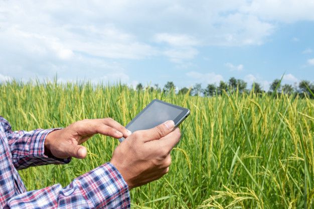 "เยียวยาเกษตรกร" ฟันธงไม่จ่าย ข้าราชการหมดสิทธิ์รับเงิน 15,000 