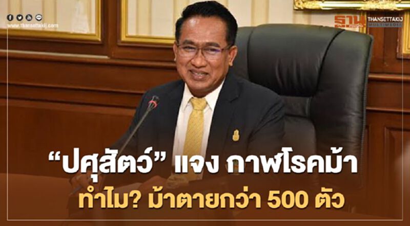 “ปศุสัตว์” แจง กาฬโรคม้า ทำไม? ม้าตายกว่า 500 ตัว “ปศุสัตว์” แจง กาฬโรคม้า ทำไม? ม้าตายกว่า 500 ตัว