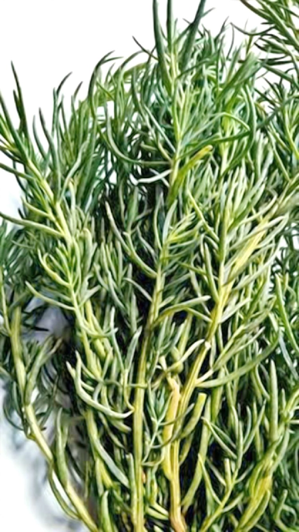 แกงคั่วปูไข่ ใบชะคราม 