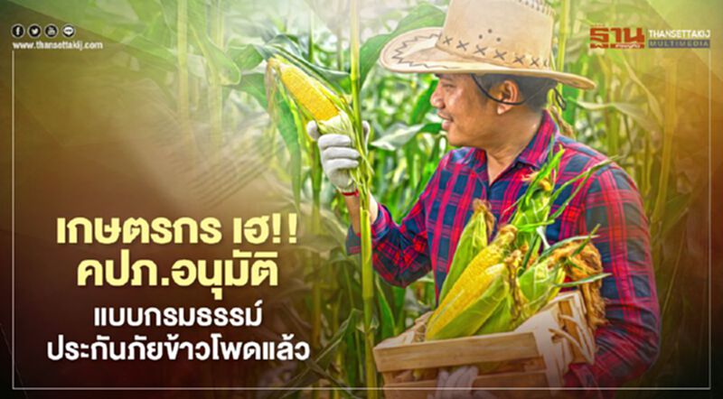 เกษตรกร เฮ!! คปภ.อนุมัติแบบกรมธรรม์ประกันภัยข้าวโพดแล้ว เกษตรกร เฮ!! คปภ.อนุมัติแบบกรมธรรม์ประกันภัยข้าวโพดแล้ว