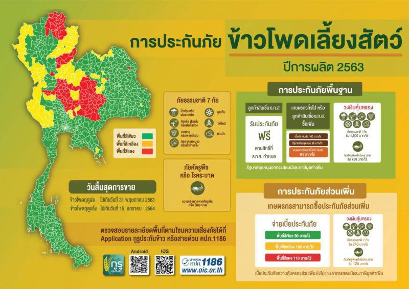 เกษตรกร เฮ!!  คปภ.อนุมัติแบบกรมธรรม์ประกันภัยข้าวโพดแล้ว