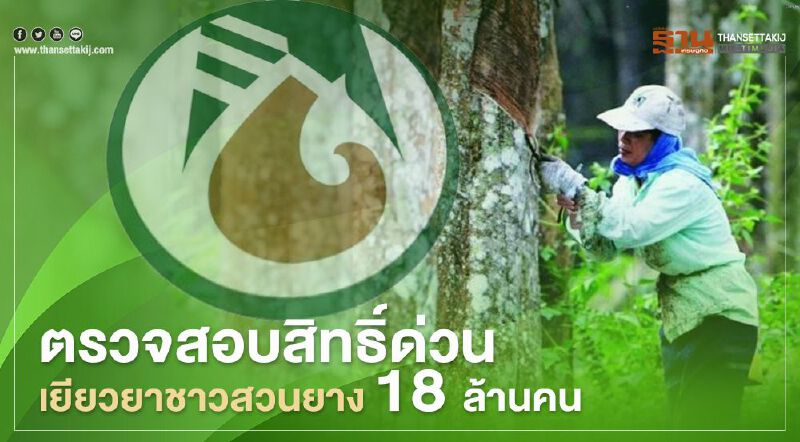 ตรวจสอบสิทธิ์ www.เยียวยาเกษตรกร.com ชาวสวนยาง ใครได้เงินวันไหน