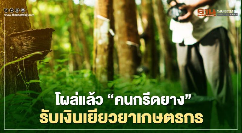 เฮ “คนกรีดยาง” ได้แล้วเงิน "เยียวยาเกษตรกร"  