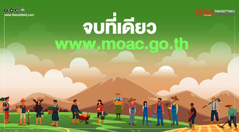"www.moac.go.th" เช็กเลย "เยียวยาเกษตรกร" ที่เดียวจบ "www.moac.go.th" เช็กเลย "เยียวยาเกษตรกร" ที่เดียวจบ