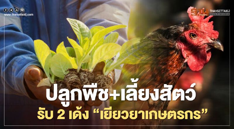 ก.เกษตร ฟังธง“เยียวยาเกษตรกร” ปลูกพืช+เลี้ยงสัตว์ รับเงิน 2เด้ง