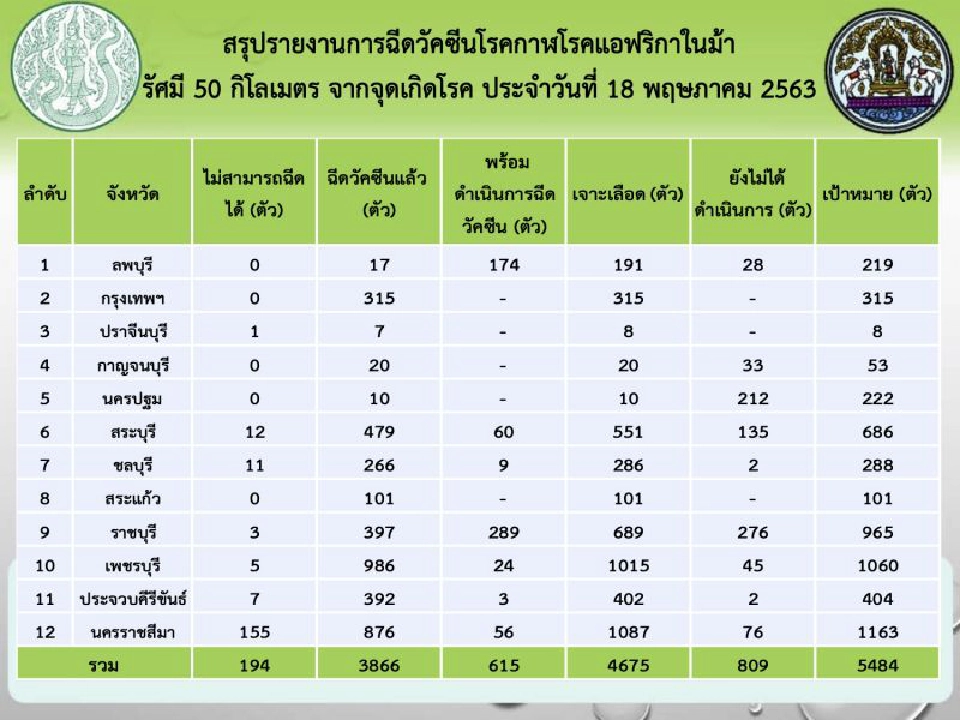 เฝ้าระวัง “กาฬโรคม้า” สั่งเก็บตัวอย่างเลือดม้าลาย