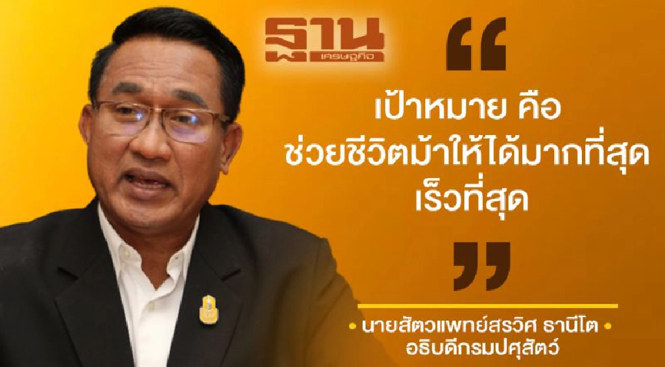 เฝ้าระวัง “กาฬโรคม้า” สั่งเก็บตัวอย่างเลือดม้าลาย