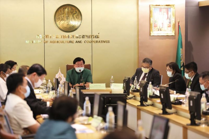 อึ้ง 84 พันธุ์ข้าว “ชาวนา” นิยมปลูกไม่ถึง 10 พันธุ์
