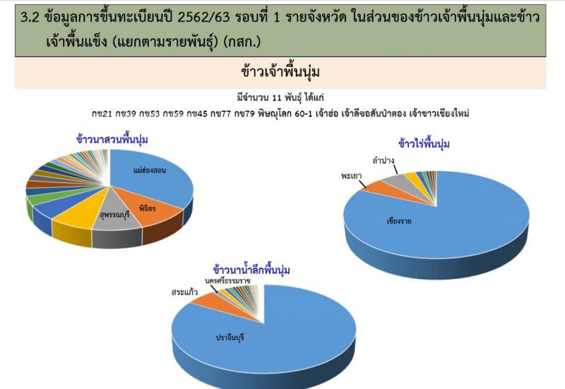 อึ้ง 84 พันธุ์ข้าว “ชาวนา” นิยมปลูกไม่ถึง 10 พันธุ์