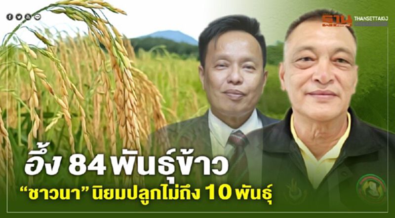อึ้ง 84 พันธุ์ข้าว “ชาวนา” นิยมปลูกไม่ถึง 10 พันธุ์ อึ้ง 84 พันธุ์ข้าว “ชาวนา” นิยมปลูกไม่ถึง 10 พันธุ์