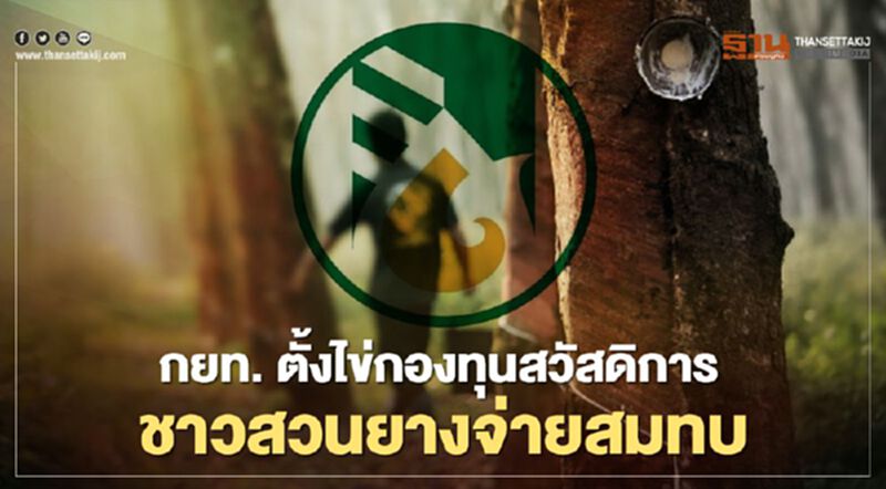 กยท. ตั้งไข่กองทุนสวัสดิการชาวสวนยางจ่ายสมทบ กยท. ตั้งไข่กองทุนสวัสดิการชาวสวนยางจ่ายสมทบ