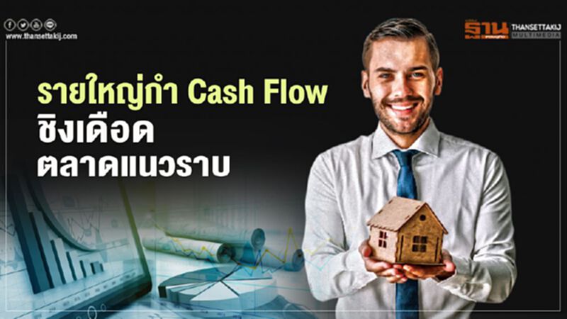 รายใหญ่กำ Cash Flow ชิงเดือด ตลาดแนวราบ รายใหญ่กำ Cash Flow ชิงเดือด ตลาดแนวราบ