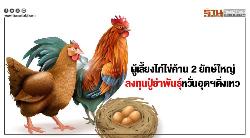 ผู้เลี้ยงไก่ไข่ค้าน2ยักษ์ใหญ่  ลงทุนปู่ย่าพันธุ์หวั่นอุตฯดิ่งเหว
