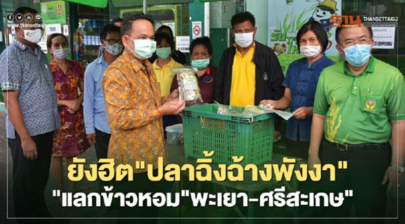 ยังฮิต"ปลาฉิ้งฉ้างพังงา"แลกข้าวหอม"พะเยา-ศรีสะเกษ" ยังฮิต"ปลาฉิ้งฉ้างพังงา"แลกข้าวหอม"พะเยา-ศรีสะเกษ"