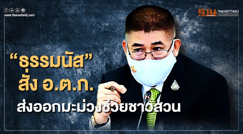“ธรรมนัส” สั่ง อ.ต.ก. ส่งออกมะม่วงช่วยชาวสวน เหลือลูก 5-6 บาท/กิโลกรัม “ธรรมนัส” สั่ง อ.ต.ก. ส่งออกมะม่วงช่วยชาวสวน เหลือลูก 5-6 บาท/กิโลกรัม