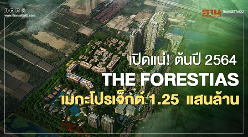 MQDC เชื่อมั่น ศก.ไทยลั่นเดินหน้าทุกโครงการ ต้นปี 2564 เปิดTHE FORESTIAS เมกะโปรเจค 1.25 แสนล้านบาท MQDC เชื่อมั่น ศก.ไทยลั่นเดินหน้าทุกโครงการ ต้นปี 2564 เปิดTHE FORESTIAS เมกะโปรเจค 1.25 แสนล้านบาท