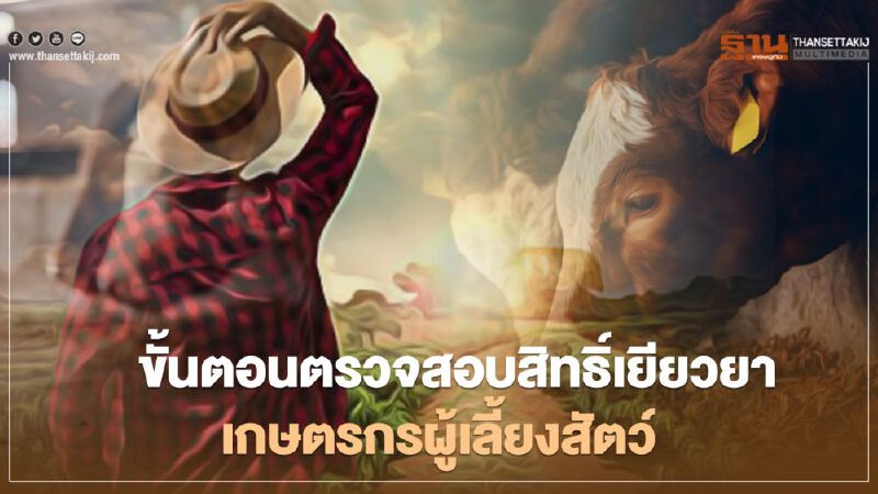 ตรวจสอบสิทธิ์ www.เยียวยาเกษตรกร.com ตรวจสอบสถานะ ผู้เลี้ยงสัตว์ นี่ที่เดียว