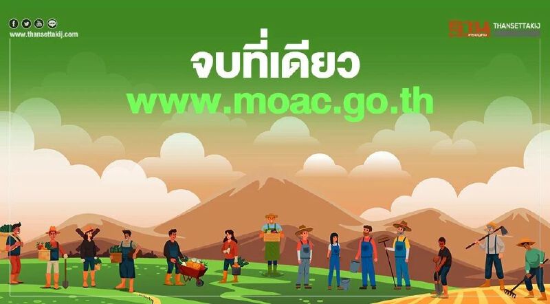 ย้ำ เช็กสิทธิ์ "เยียวยาเกษตรกร" ผ่าน "www.moac.go.th" ที่เดียวจบ ลิงก์อื่นของสศก.ปิดระบบแล้ว