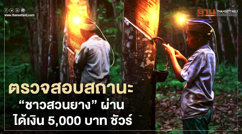 ตรวจสอบสถานะเกษตรกร “ชาวสวนยาง” ผ่าน ได้เงิน 5,000 บาท ชัวร์