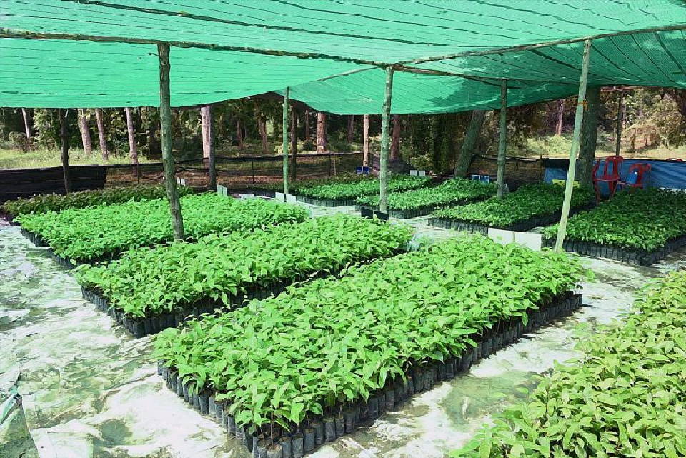 MQDC สร้างงานสร้างรายได้ ช่วยผู้รับผลกระทบโควิด-19