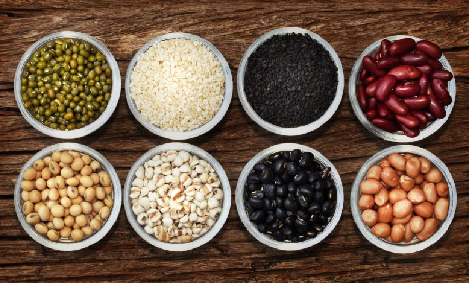 ดาราดังญี่ปุ่นปลุกกระแส ต้านออกกฎหมายผูกขาดพันธุ์พืช