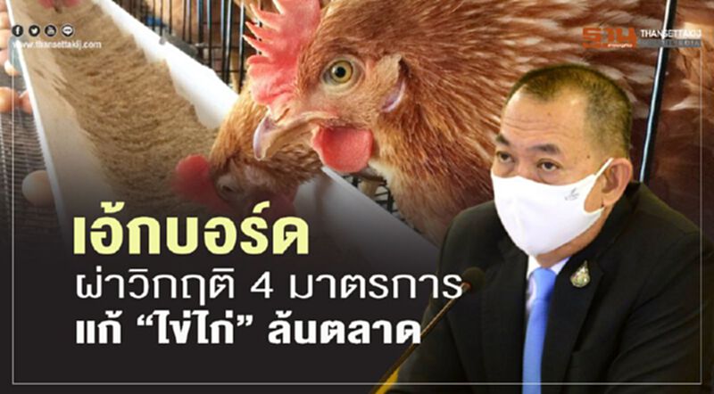 เอ้กบอร์ด ผ่าวิกฤติ 4 มาตรการ แก้ “ไข่ไก่” ล้นตลาด เอ้กบอร์ด ผ่าวิกฤติ 4 มาตรการ แก้ “ไข่ไก่” ล้นตลาด