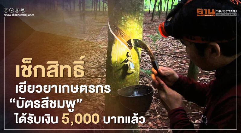 เช็กสิทธิ์ "เยียวยาเกษตรกร" บัตรสีชมพู ได้รับเงิน 5,000 บาท แล้ว