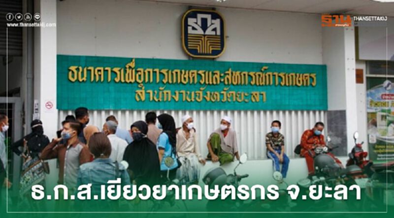 www.เยียวยาเกษตรกร.com ธ.ก.ส. ยะลา จ่ายเงินเยียวยา 5,000 บาทแล้ว www.เยียวยาเกษตรกร.com ธ.ก.ส. ยะลา จ่ายเงินเยียวยา 5,000 บาทแล้ว