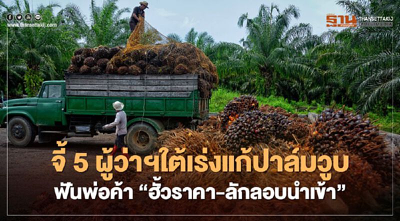 จี้ 5 ผู้ว่าฯใต้เร่งแก้ปาล์มวูบ ฟันพ่อค้า “ฮั้วราคา-ลักลอบนำเข้า” จี้ 5 ผู้ว่าฯใต้เร่งแก้ปาล์มวูบ ฟันพ่อค้า “ฮั้วราคา-ลักลอบนำเข้า”