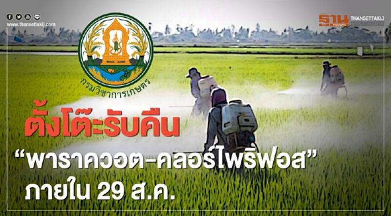 ตั้งโต๊ะรับคืน “พาราควอต-คลอร์ไพริฟอส” ภายใน 29 ส.ค. ตั้งโต๊ะรับคืน “พาราควอต-คลอร์ไพริฟอส” ภายใน 29 ส.ค.