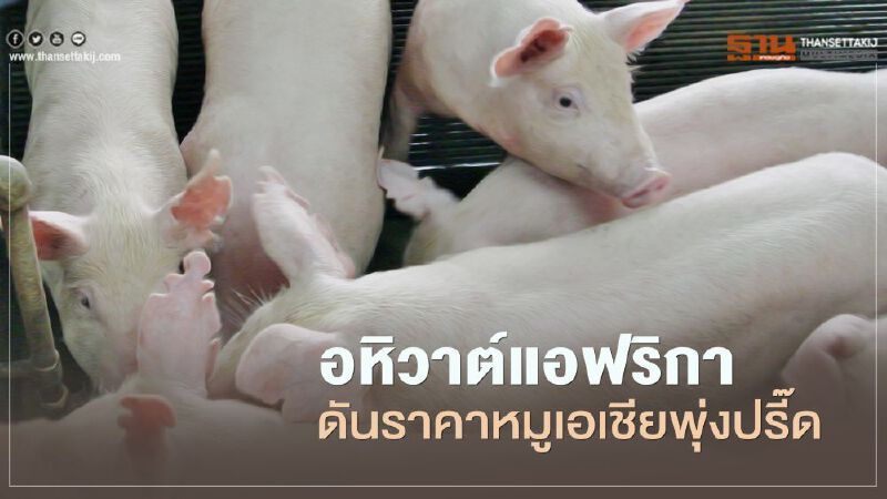 อหิวาต์แอฟริกา ดันราคาหมูเอเชียพุ่งปรี๊ด จีน-เวียดนามแห่นำเข้าเพิ่ม