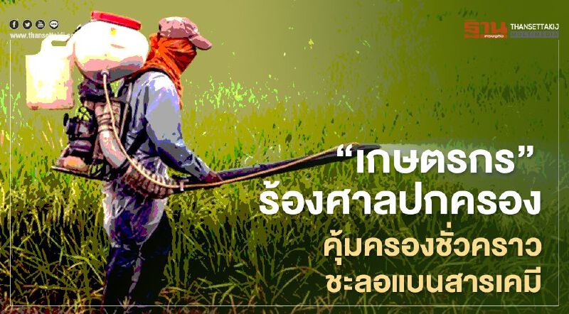 “เกษตรกร” ร้องศาลปกครองคุ้มครองชั่วคราวชะลอแบนสารเคมี