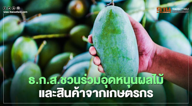 ธ.ก.ส.ชวนร่วมอุดหนุนผลไม้และสินค้าจากเกษตรกร ธ.ก.ส.ชวนร่วมอุดหนุนผลไม้และสินค้าจากเกษตรกร