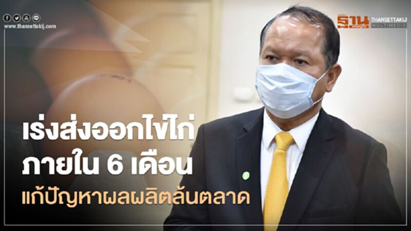 เร่งส่งออกไข่ไก่ภายใน6เดือน แก้ปัญหาผลผลิตล้นตลาด เร่งส่งออกไข่ไก่ภายใน6เดือน แก้ปัญหาผลผลิตล้นตลาด