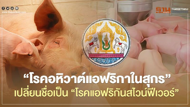 "โรคอหิวาต์แอฟริกาในสุกร" เปลี่ยนชื่อเป็น "โรคแอฟริกันสไวน์ฟีเวอร์"